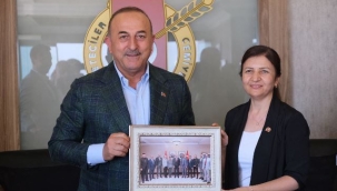 Dışişleri Bakanı Çavuşoğlu Alanya'da gazeteciler ile buluştu 