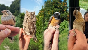 DÜNYANIN GÖZÜ ALKÜ İSTASYONUNDA  