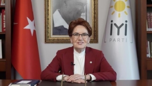 İYİ Parti Genel Başkanı Akşener yurt dışındaki Türklere sosyal medyadan seslendi: Yalnız değilsiniz