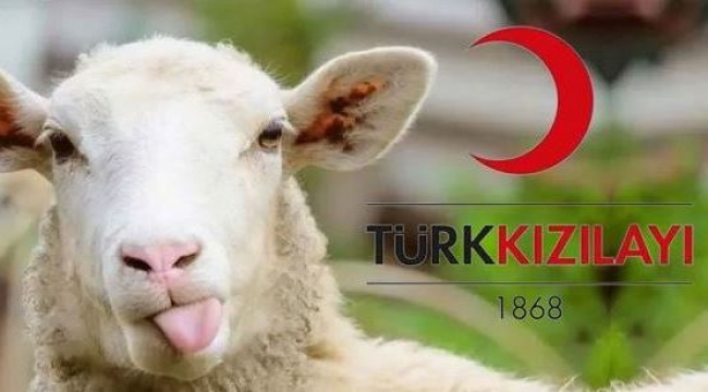 Türk Kızılay 2023 kurban vekalet bedellerini belirledi