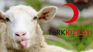 Türk Kızılay 2023 kurban vekalet bedellerini belirledi