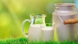 Süt üretimi mayısta yüzde 11 azaldı