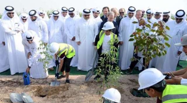 Suudi Arabistan, çölleşmeyle mücadele için 50 milyondan fazla mangrov ağacı yetiştirecek