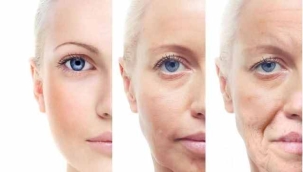 Yaşlanmaya yol açan hücreleri yok edebilecek molekül keşfedildi