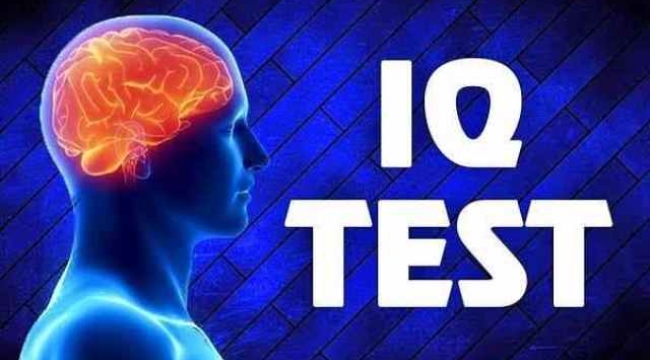 Dünyanın en kısa IQ testi: İnsanların yüzde 80'i başarısız oluyor