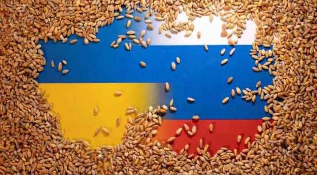 Rusya, 6 Afrika ülkesine ücretsiz olarak tahıl gönderecek
