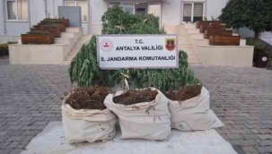 Serik'te jandarmadan uyuşturucu operasyonu: 3 gözaltı