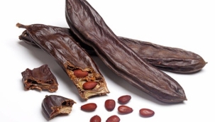 ŞİFA DEPOSU HARNUP'TA HASAT ZAMANI!  