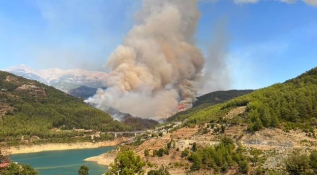Alanya'da korkutan orman yangını kontrol altında