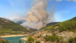 Alanya'da korkutan orman yangını kontrol altında