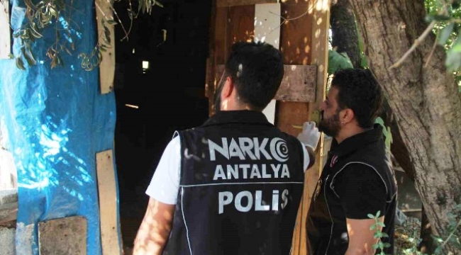 Antalya'da 300 polisle 15 adrese helikopter destekli eş zamanlı uyuşturu operasyonu