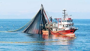 Av yasağı bitti, sezonun ilk balıkları avlandı