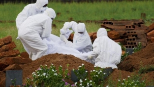 Hindistan'da Nipah virüsü kaynaklı ölüm oranları Kovid-19'a kıyasla daha yüksek