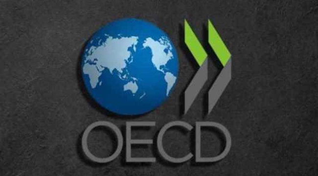 OECD eylül ayı raporu yayımlandı: Türk ekonomisine yönelik 2023 büyüme tahminini revize etti