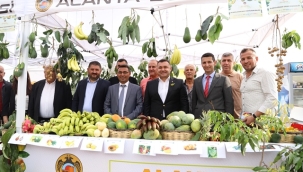 ALANYA BELEDİYESİ 2. TROPİKAL MEYVE FESTİVALİ BAŞLIYOR