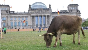 Dev Alman şirketinden ülke için 'sanayisizleşme' uyarısı