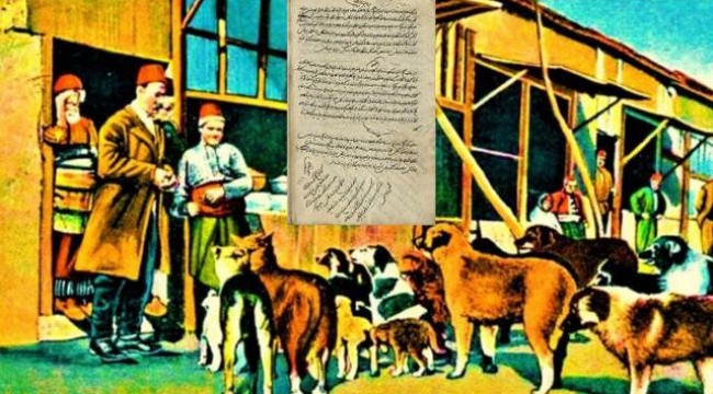 Dünyada ilk hayvan hakları beyannamesi Osmanlı Dönemi'nde yürürlüğe girdi