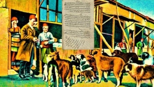 Dünyada ilk hayvan hakları beyannamesi Osmanlı Dönemi'nde yürürlüğe girdi