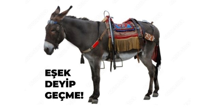 "EŞEK" deyip, geçmeyin! okuyun