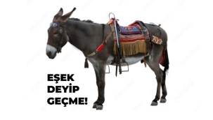 "EŞEK" deyip, geçmeyin! okuyun