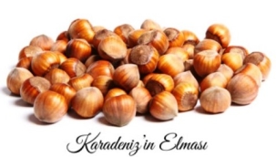 Karadeniz fındığının kalitesi bir kere daha ispatlandı