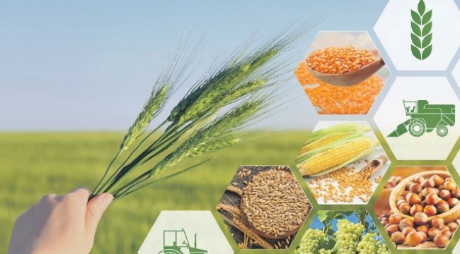 Tarım-ÜFE yıllık yüzde 62,56 arttı