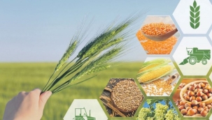 Tarım-ÜFE yıllık yüzde 62,56 arttı