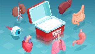 Türkiye kadavra organ bağışında 40, canlıdan canlıya bağışta 3. sırada