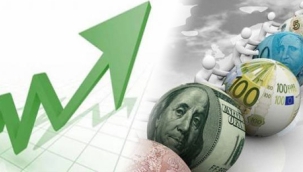 Türkiye'nin en çok döviz alan ili belli oldu