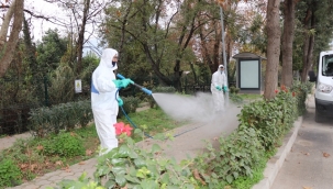 ALANYA BELEDİYESİ İLAÇLAMADAN BUDAMAYA, GÜBRELEMEDEN BAKIMA KADAR YEŞİL ALANLARDA ÖZENLE ÇALIŞIYOR