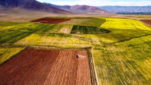 Hububattaki kuraklık riski yağışlarla azaldı