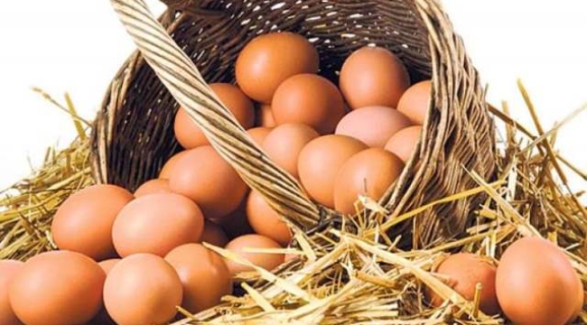 Rusya, Türkiye'den yumurta tedariklerine başlıyor