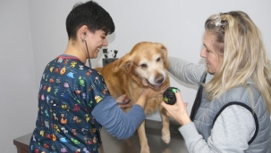 Aloha Veteriner Kliniği, Kızlarpınarı mahallesi eski taç market arkasında hizmete girdi.