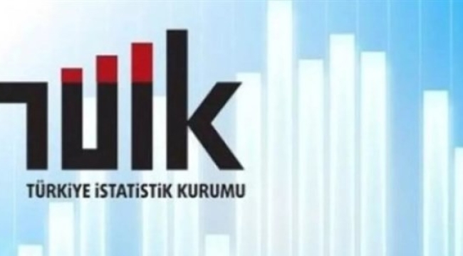 TÜİK nüfus istatistiklerini paylaşıma açtı