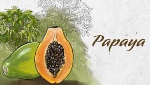 PAPAYANIN 14 FAYDASINI BİLİYOR MUSUNUZ?