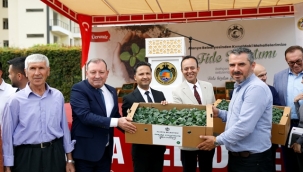 ALANYA BELEDİYESİ'NDEN KIRSAL MAHALLELERE 311 BİN ADET FİDE DESTEĞİ