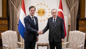 Cumhurbaşkanı Erdoğan, Hollanda Başbakanı Rutte ile görüştü