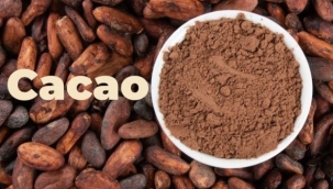 Kakao fiyatları 3 ayda yüzde 200 arttı