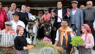 Antalya'da iki eşeğe nikah kıyıldı: Traktörle balayına gönderildiler