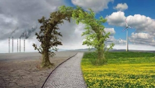 İklim değişikliği meyvede rekolte kaybına neden oluyor