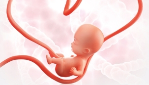 AK Parti doğurganlık hızındaki düşüşü mercek altına alacak: 'Çok zor durumdayız'