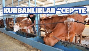 Kurbanlar 'Tarım Cebimde' uygulaması ile sorgulanıyor