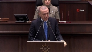 Cumhurbaşkanı Erdoğan'dan başıboş köpek düzenlemesi mesajı