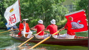 İngiltere'nin 838 yıllık geleneği: Kuğu nüfus sayımı