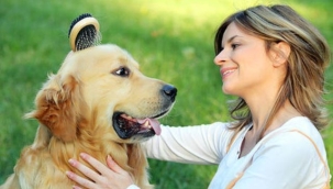 26 Ağustos Dünya Köpekler Günü