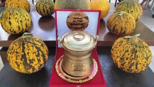 Yoğurt ve kavunun en iyileri Tavas'ta belirlendi