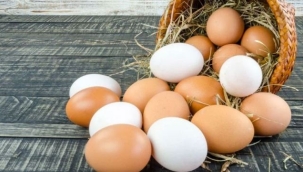 Yumurta fiyatlarına zam geldi