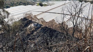 Alanya'da çıkan yangında 3 sera zarar gördü