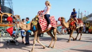 Alanya'da devecilik faaliyetlerine son verildi