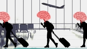 Beyin göçü yapan yükseköğretim mezunlarının oranı belli oldu: Mezunlar en çok hangi ülkeye gitti?